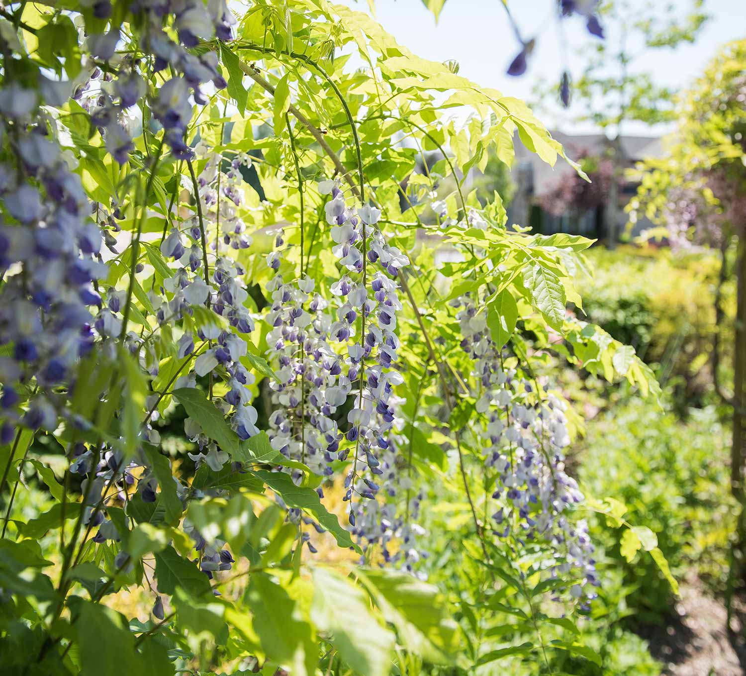 Brookside Banquet Hall